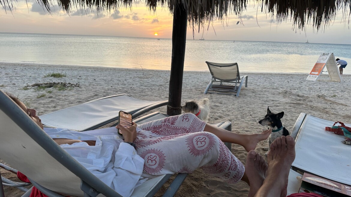 🌴 Aruba is more than just kitesurfing! 🌊💙