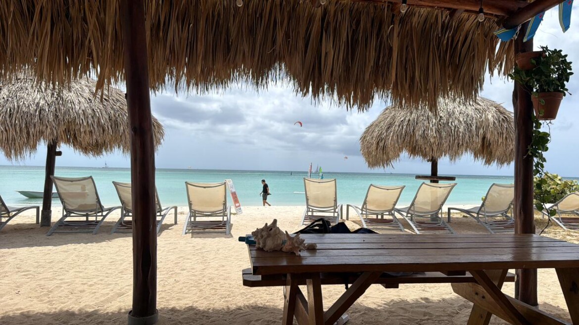 The Action in Front of Aruba Kitesurfing School: Where the Ocean Comes Alive