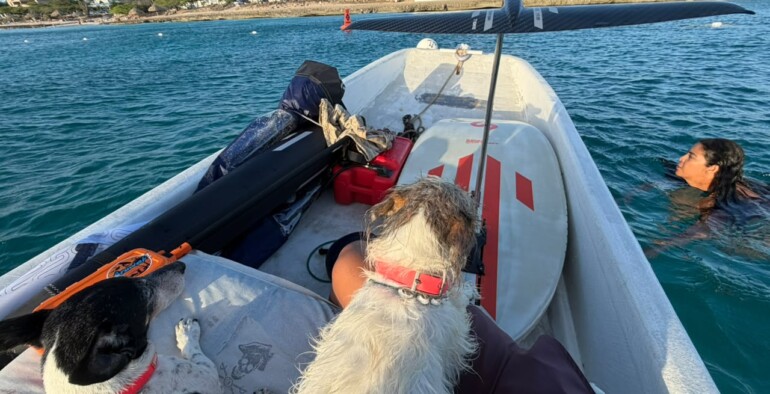 Wing Foil Paradise: Discover Wing Foiling in Aruba